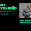 eleição e predestinação